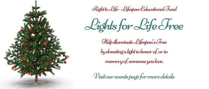 Lights for Life 2026 Slider v1 2026.09.16
